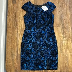 NWT Anthropologie Eva Franco blue/black damask floral dress size 6